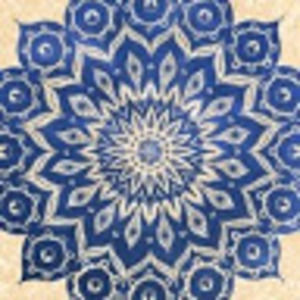 Meet your Posher, Salome